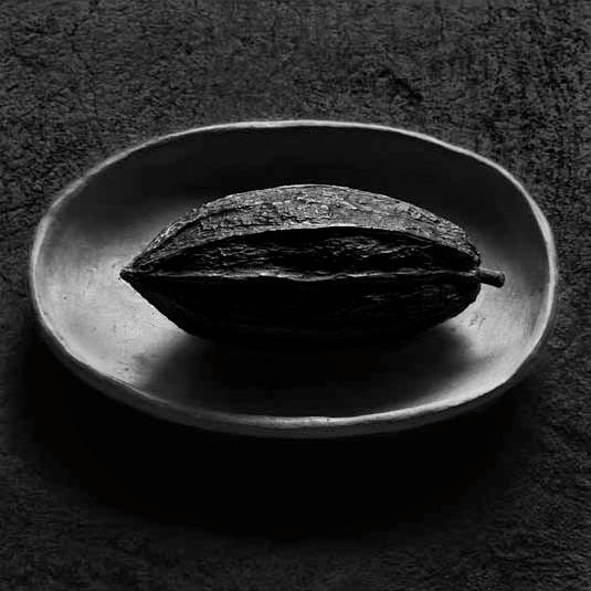 cacao