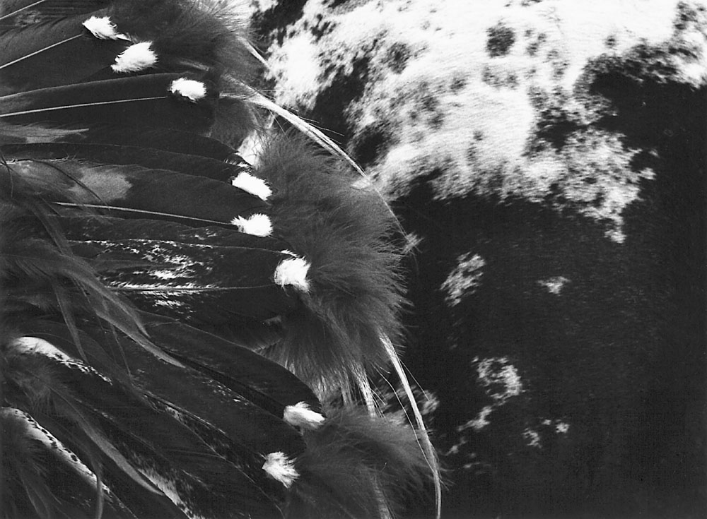 Composicion de plumas y manchas USA 1993