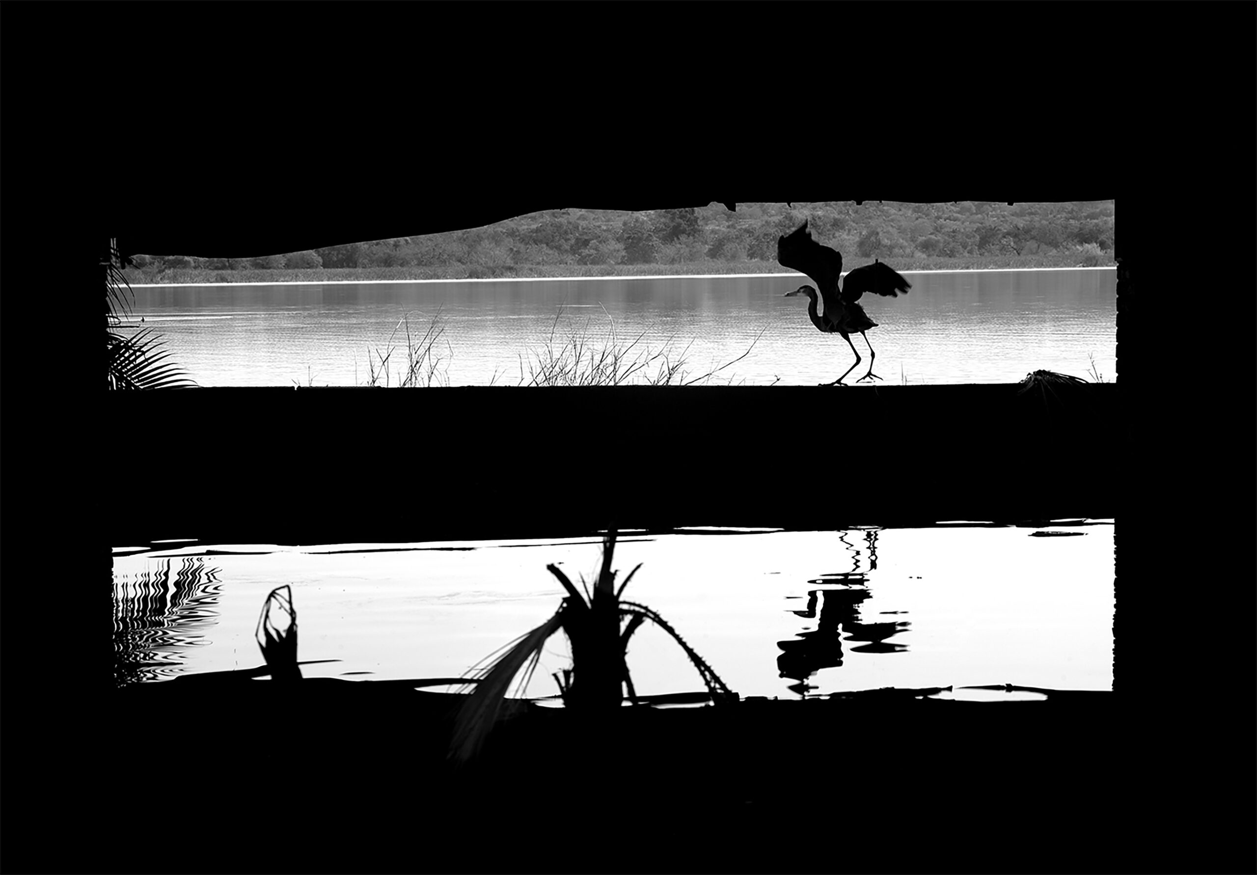 23 Paisaje japones Mexico 2018