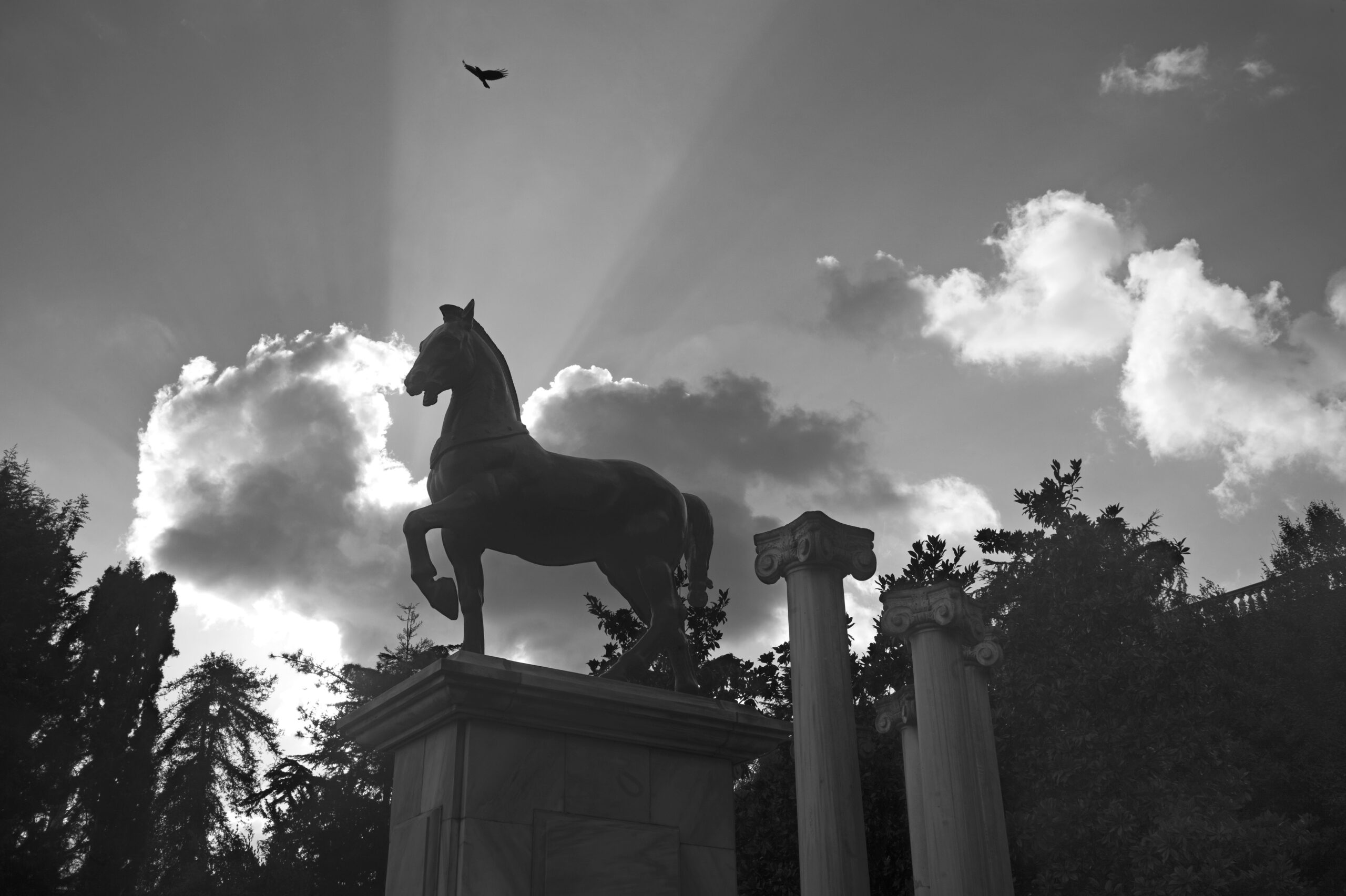 33 Caballo de Troya fin